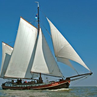 Mitsegelreisen - IJsselmeer & Wattenmeer
